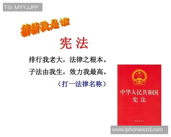 法丙的崛起与挑战:在法律与社会变革中的角色与影响分析 法丙的崛起与挑战:在法律与社会变革中的角色与影响分析