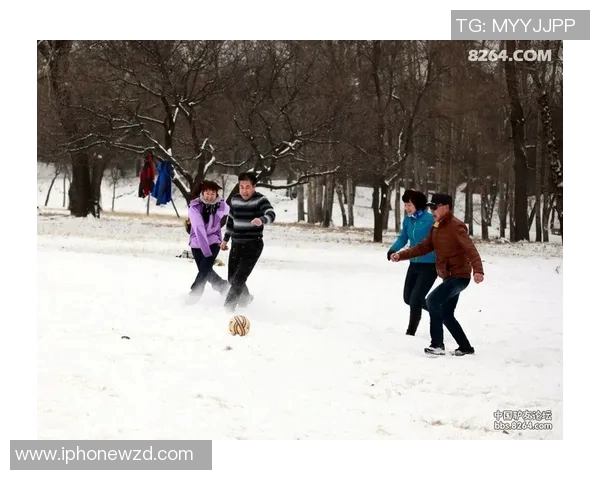 雪华园足球比赛直播吧精彩赛事回顾与实时动态分析