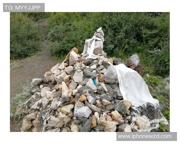 萨林杰的文学世界探秘：从孤独到自我救赎的心灵旅程