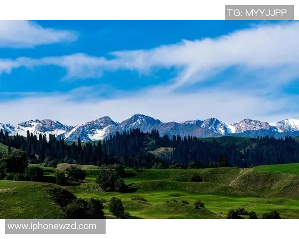 新疆天山与黑龙江的自然风光与文化魅力深度对比探讨